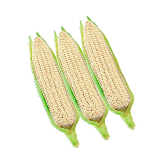 Elote Criollo - 3 unidades