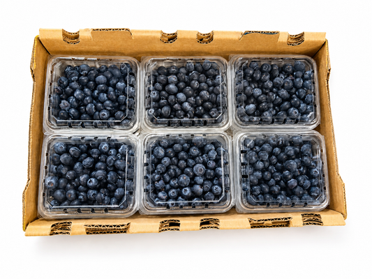 Caja Arándano -12 clamshell - 125g (ENVÍO GRATIS)