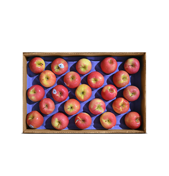 Manzana Pink Lady - Mediana (Cal.150) - 40lb