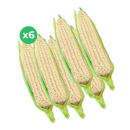 Elote Criollo - 6 unidades