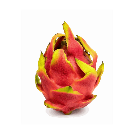 Pitahaya Fucsia Mediana - Unidad