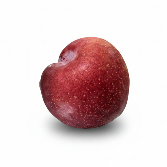 Ciruela ROJA- Serie 50 - Unidad