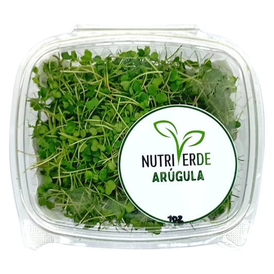 Microbrote Arugula - Bandeja 1oz - Nutriverde