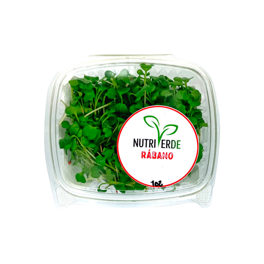 Microbrote Rabano - Bandeja 1oz - Nutriverde (Producto bajo pedido)