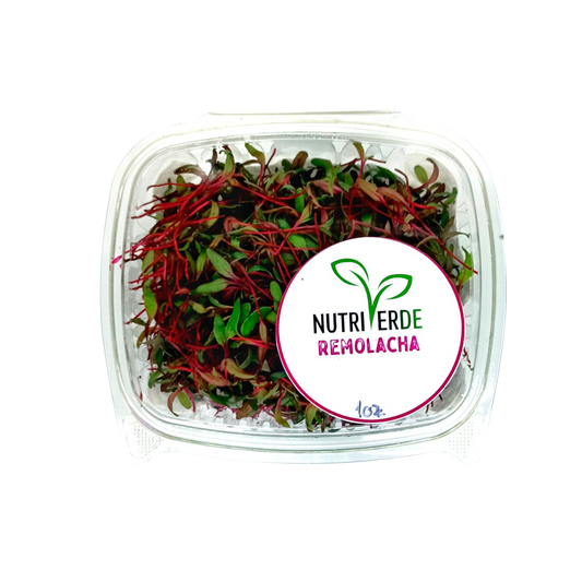 Microbrote Remolacha - Bandeja 1oz - Nutriverde (Producto bajo pedido)