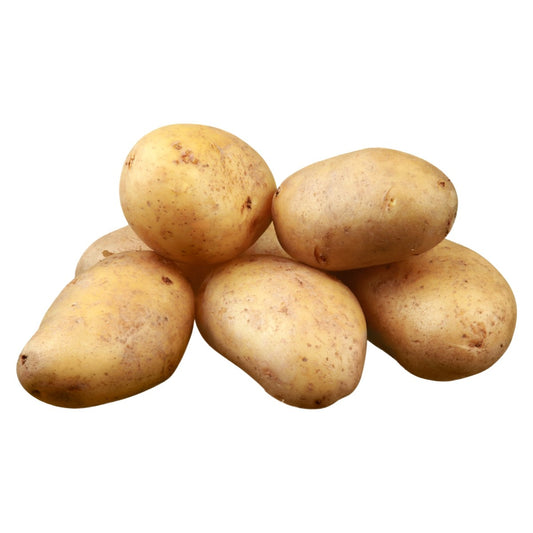 Red de Papa Loman Nacional - 3Lbs