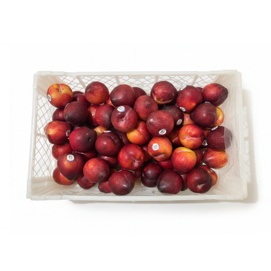 Caja Ciruela Roja - Mediana