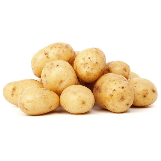 Papa Cambray Nacional - Libra