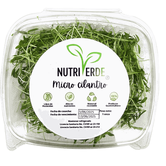 Microbrote Cilantro - Bandeja 1oz - Nutriverde