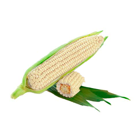 Elote Criollo - Unidad