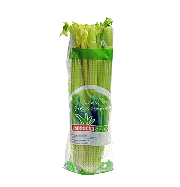 Corazón de Apio - Cosecha del Día - Bolsa - UN (Producto Bajo Pedido)