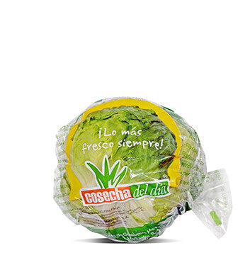 Lechuga Iceberg - Cosecha del Día - Bolsa - UN (Producto Bajo Pedido)