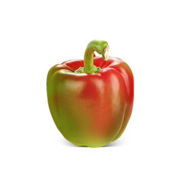 Chile Pimiento unidad