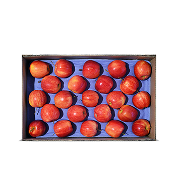 Caja Manzana Gala - Importada (Cal. 100/113) - 40 Lbs (Envío Gratis)
