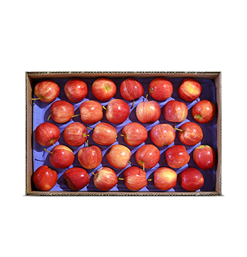 Caja Manzana Gala - Mediana (Cal. 150/163) - 40 Lbs (ENVÍO GRATIS)