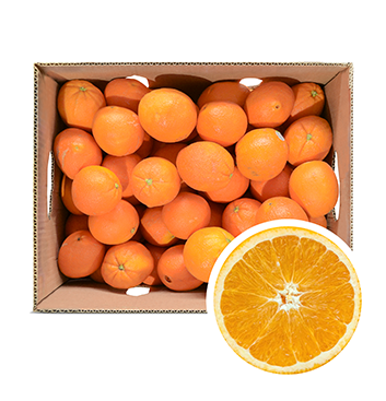 Caja Naranja Importada C56/72/88 (ENVÍO GRATIS)