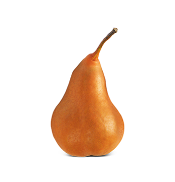 Pera Bosc - Mediana (Cal. 135/150) - Unidad