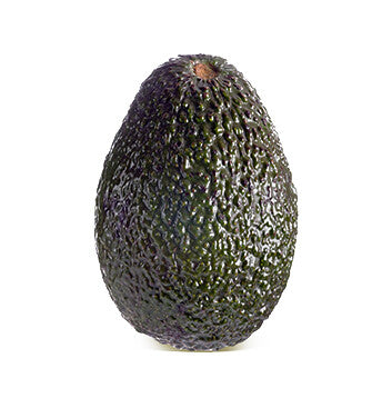 Aguacate Hass – Cosecha del Día - UN