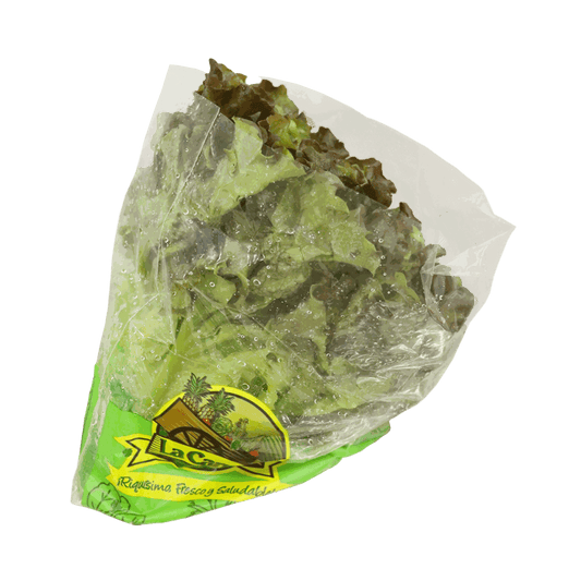Lechuga Escarola - Morada - La Carreta (Producto bajo pedido)