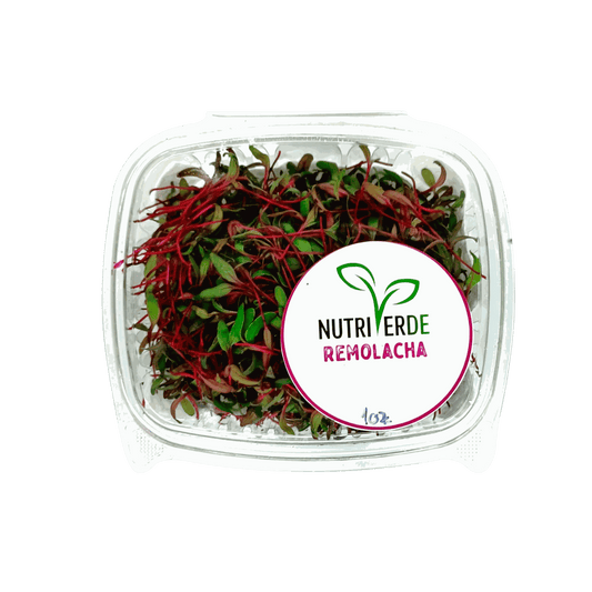 Microbrote Remolacha - Bandeja 1oz - Nutriverde (Producto bajo pedido)