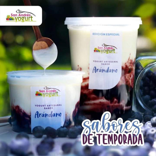 Bote Yogurt Sabor Arandano - 16oz - San Andres