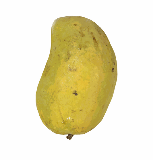 Mango Ataulfo Nacional - Kibal Foods - UN