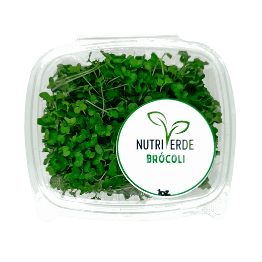Microbrote Brocoli - Bandeja 1oz - Nutriverde (Producto bajo pedido)