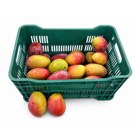 Caja Mango Panades