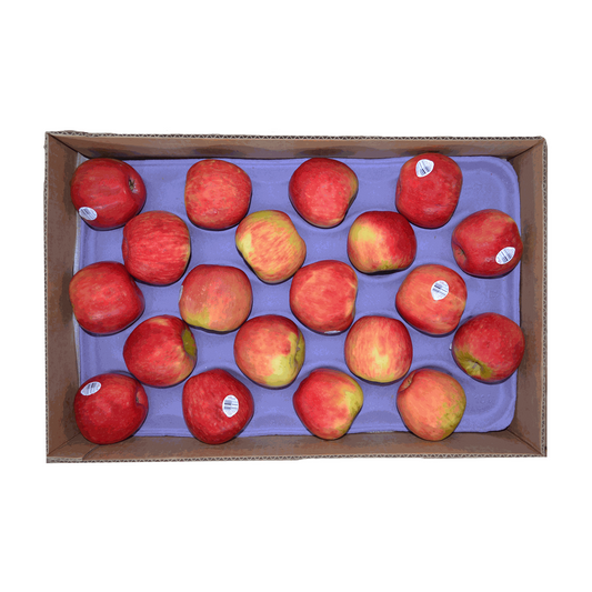 Caja de Manzana Honeycrisp -Collipulli-100-XF-40Lb