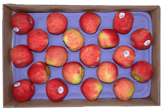 Caja de Manzana Honeycrisp -Collipulli-100-XF-40Lb