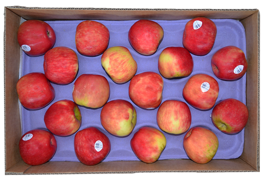 Caja de Manzana Honeycrisp -Collipulli-150-XF-40Lb