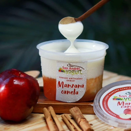 Bote Yogurt Sabor Manzana Canela - 16oz - San Andres