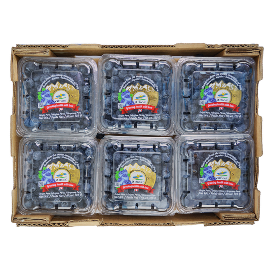 Caja Arándano -12 clamshell - 125g