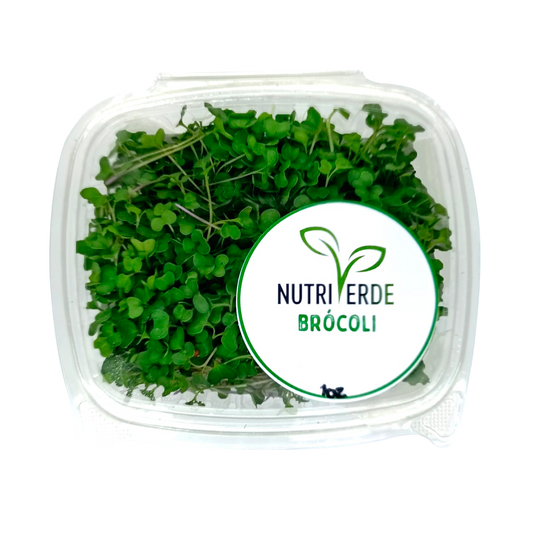 Microbrote Brocoli - Bandeja 1oz - Nutriverde (Producto bajo pedido)