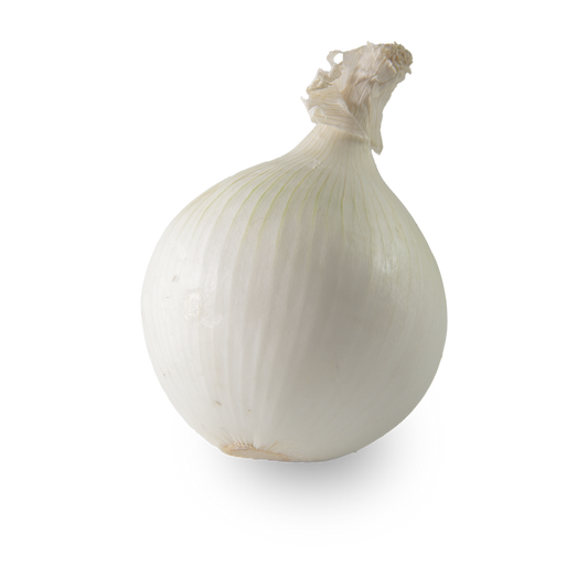 Cebolla Blanca - Mediana - Cosecha del Día  - Unidad