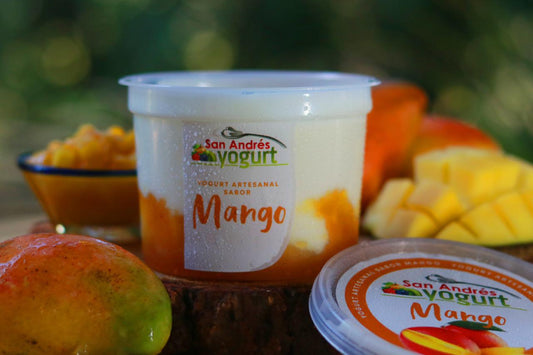 Bote Yogurt Sabor Mango - 16oz - San Andres