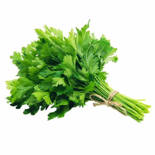 Manojo de Perejil 12oz - UN