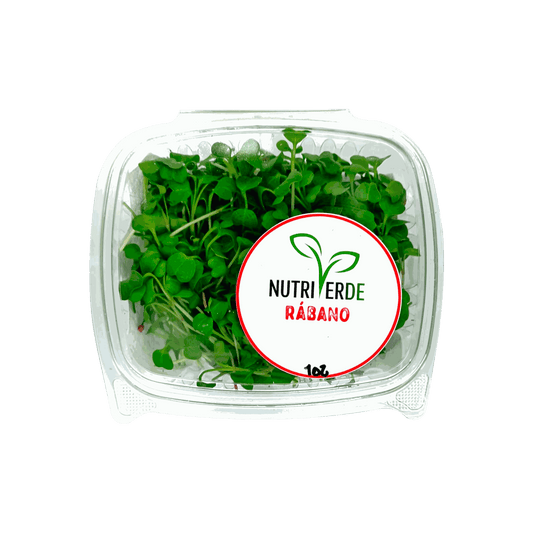 Microbrote Rabano - Bandeja 1oz - Nutriverde (Producto bajo pedido)