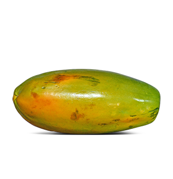 Papaya Tainung - Mediana - (3 a 4 - Lbs)