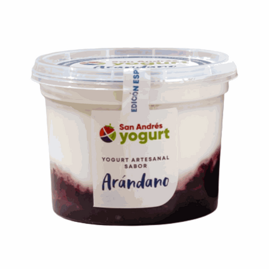 Bote Yogurt Sabor Arandano - 16oz - San Andres