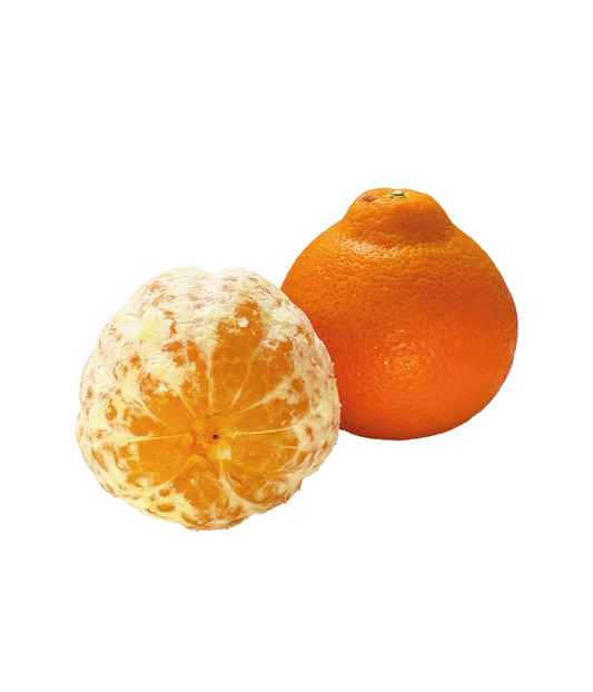 Red de Mandarina Tangelo - UN