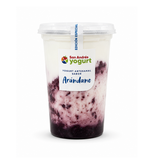 Bote Yogurt Sabor Arándano - 1Lt - San Andres